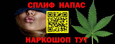 мдпв Моздок