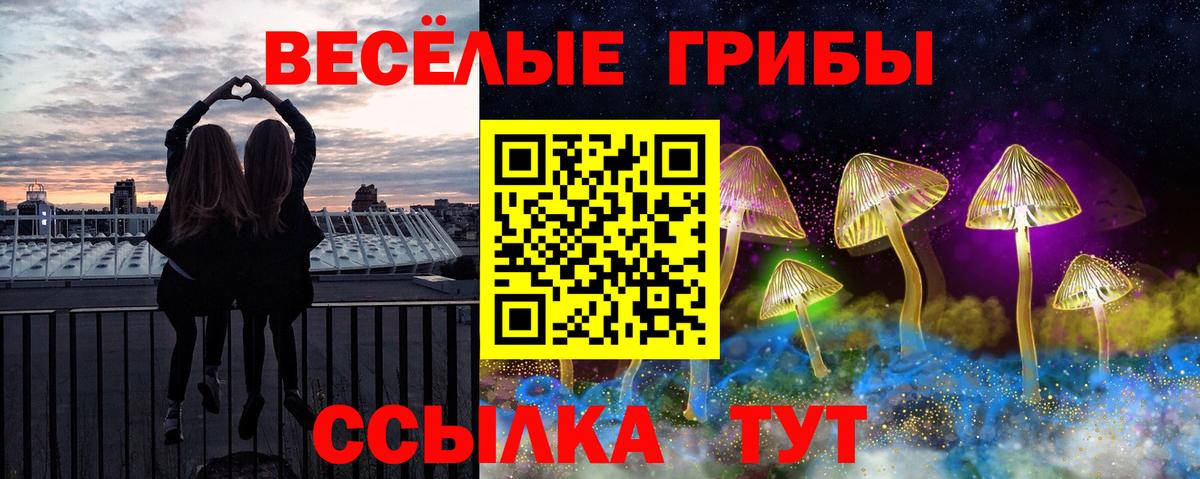 купить  цена  Вход с VPN  Строитель  Галлюциногенные грибы Psilocybine cubensis 